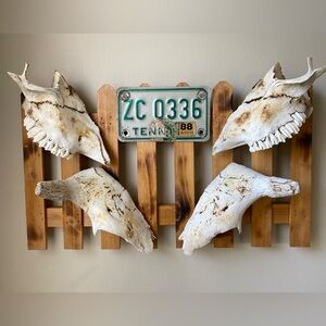 Rustic White Decorative Skull Wall Art with Teal License Plate